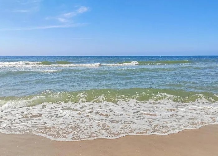 Ferienhaus Pet Friendly In *