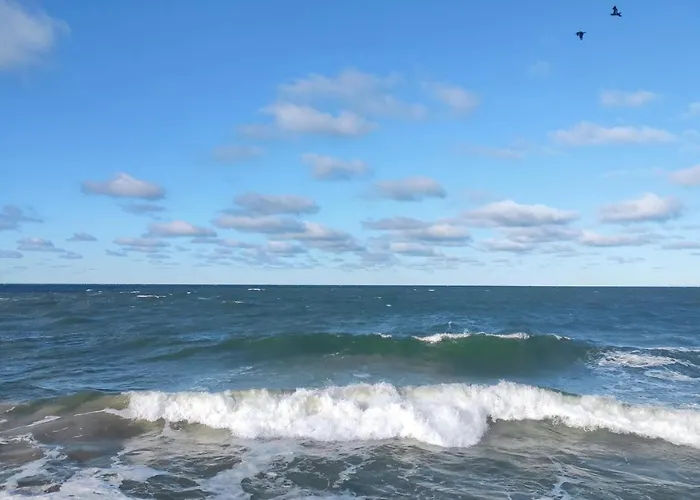 Pet Friendly In Ferienhaus